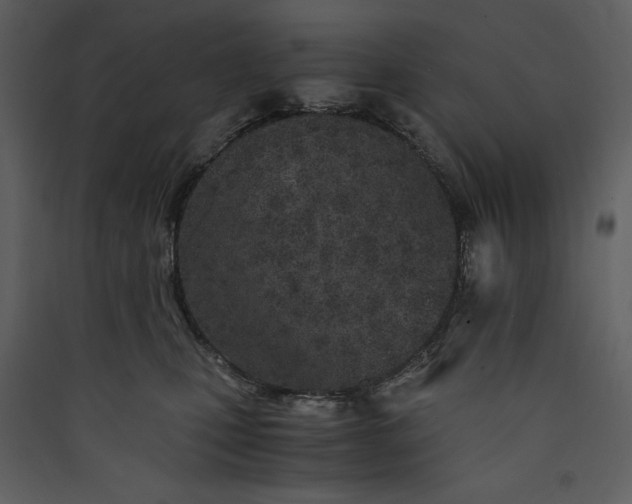 X0000089930471200707131436