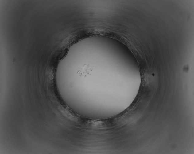 X0000089930472200707131436