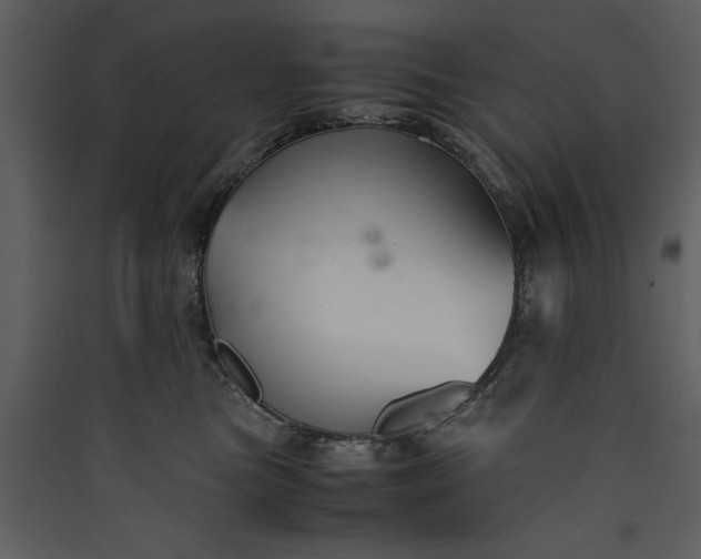 X0000089930473200707131436