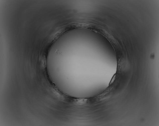 X0000089930474200707131436