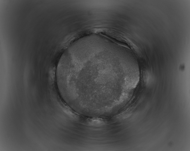 X0000089930475200707131436