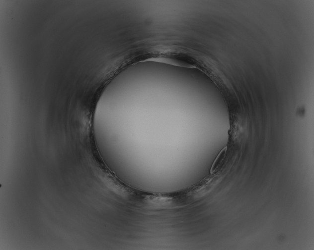 X0000089930476200707131436