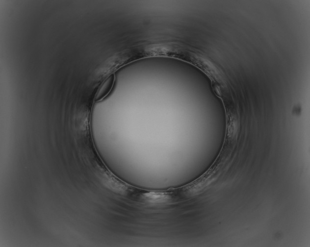 X0000089930477200707131436