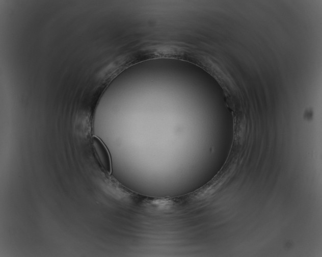 X0000089930478200707131436