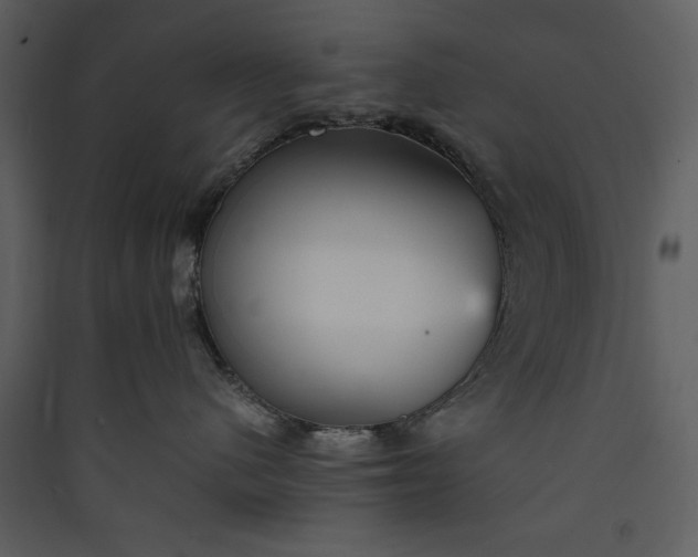 X0000089930480200707131436