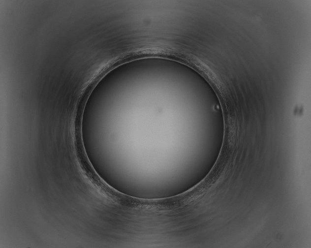 X0000089930482200707131435