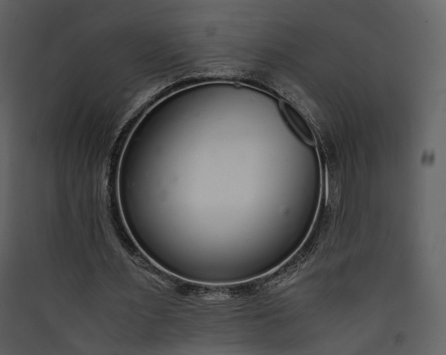 X0000089930483200707131435