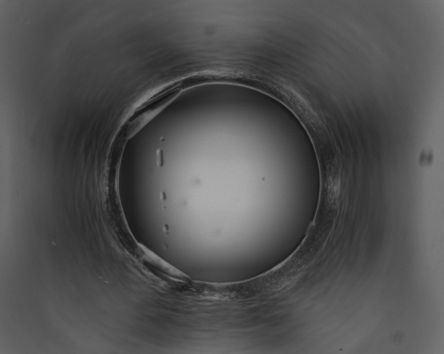 X0000089930484200707131435