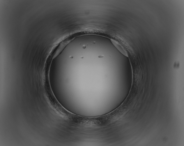 X0000089930488200707131435