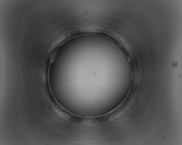 X0000089930489200707131435