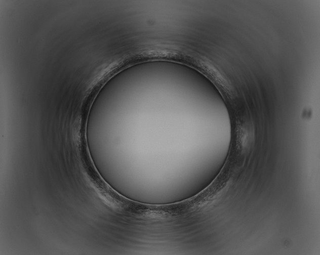 X0000089930490200707131435