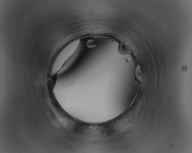 X0000089930493200707131435