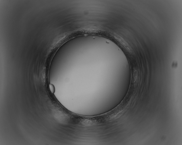 X0000089930494200707131435