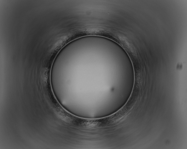 X0000089930495200707131435