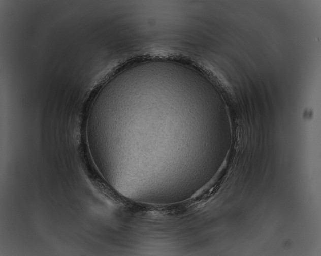 X0000089930496200707131435