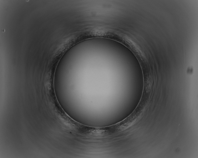 X0000089930497200707131435