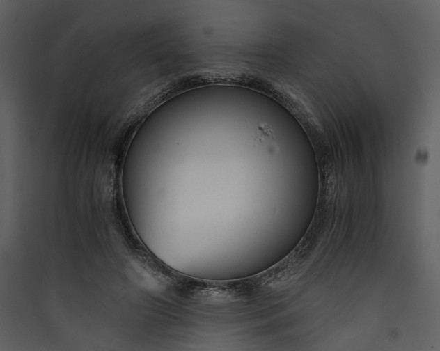 X0000089930498200707131435