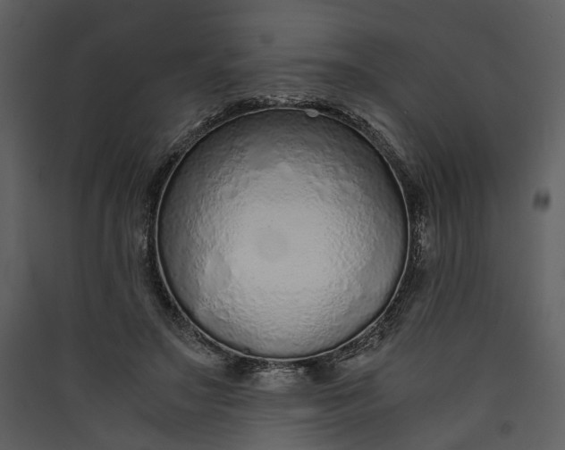 X0000089930499200707131435