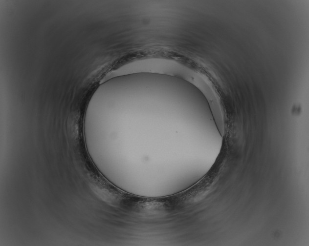 X0000089930501200707131435