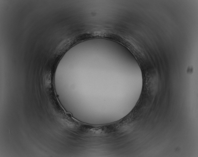 X0000089930502200707131435