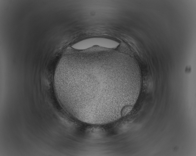 X0000089930503200707131435