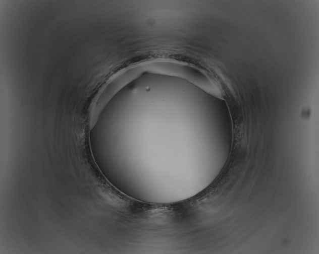 X0000089930505200707131435