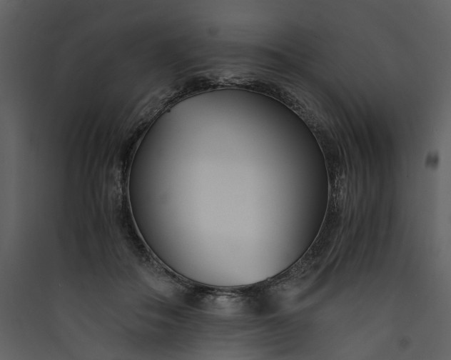 X0000089930506200707131435