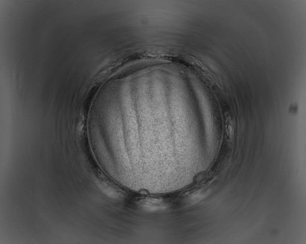 X0000089930507200707131435