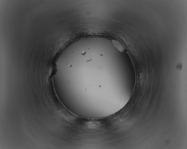 X0000089930508200707131435