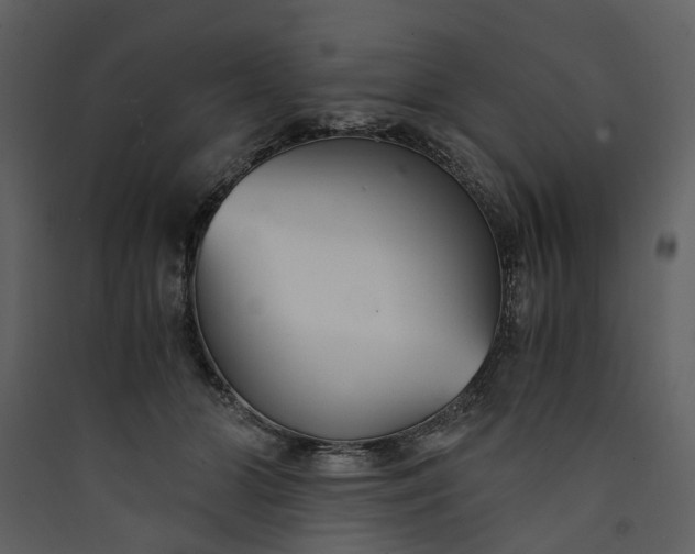 X0000089930510200707131435