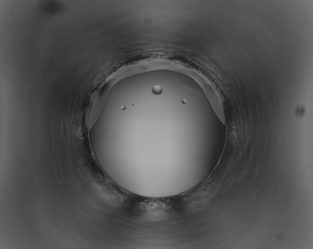 X0000089930512200707131435