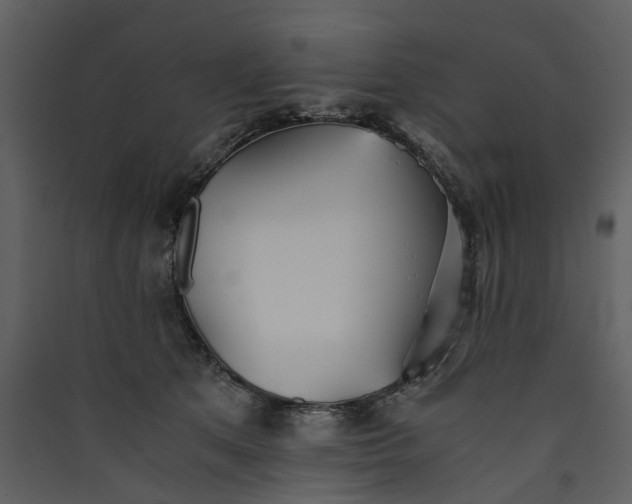 X0000089930513200707131435