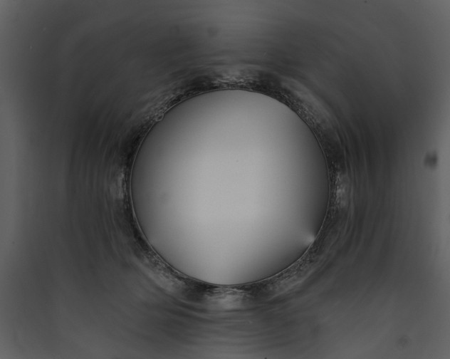 X0000089930514200707131435