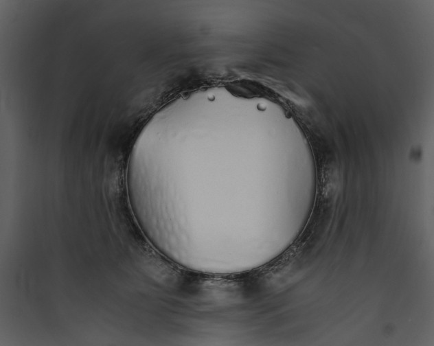 X0000089930515200707131435