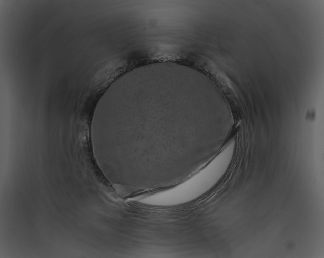 X0000089930517200707131435