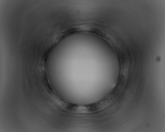 X0000089930518200707131435