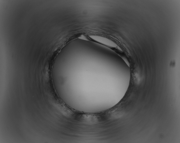 X0000089930520200707131435