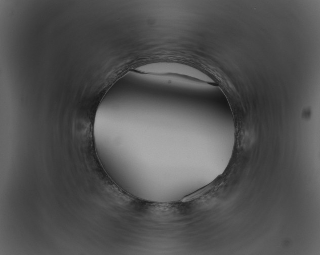 X0000089930521200707131435