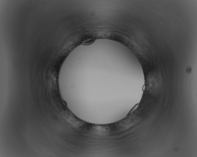 X0000089930522200707131435