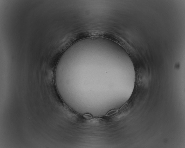 X0000089930523200707131435