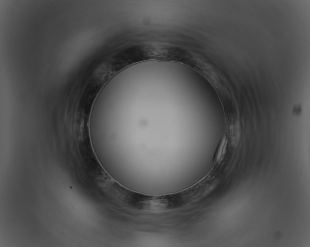 X0000089930525200707131435