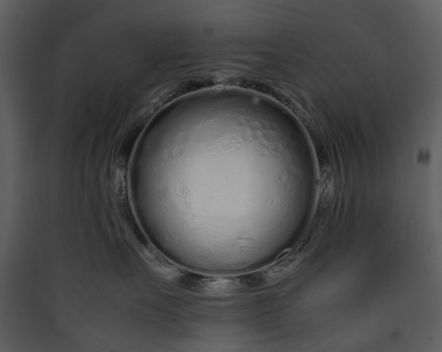 X0000089930527200707131435