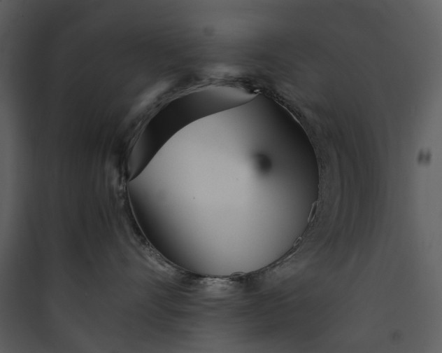 X0000089930528200707131435