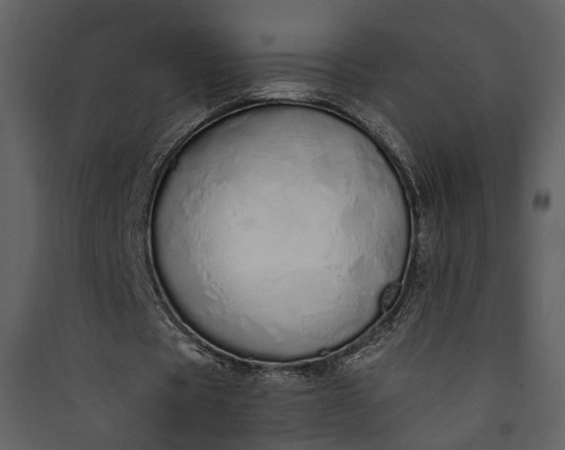 X0000089930529200707131434