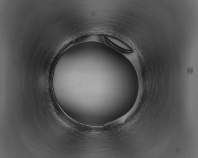 X0000089930530200707131434