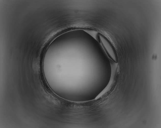 X0000089930531200707131434