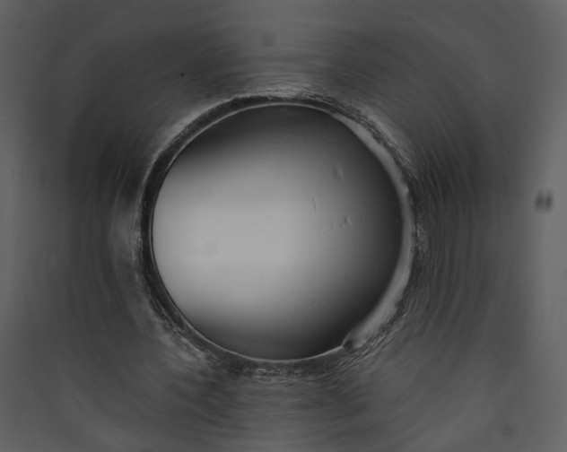 X0000089930532200707131434