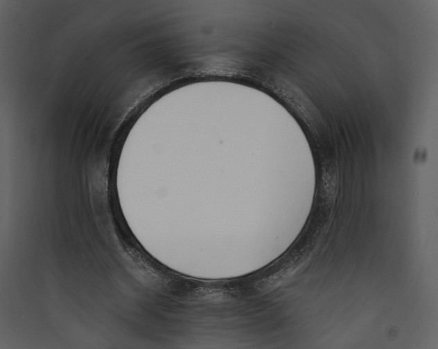 X0000089930534200707131434