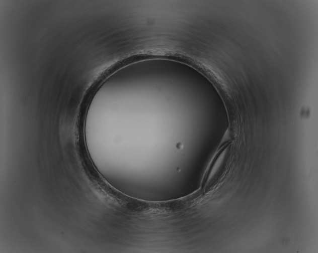 X0000089930536200707131434