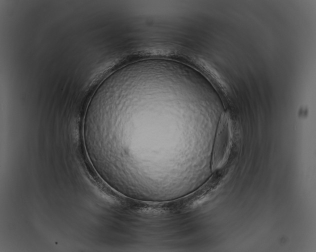 X0000089930537200707131434